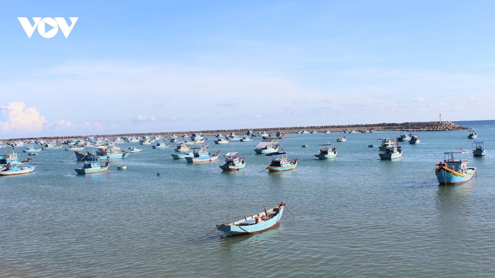 Cứu 8 lao động tàu cá bị chìm trên vùng biển Phú Quý, Bình Thuận